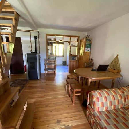 Mystic Forest Hostel Mitrovac Exteriör bild