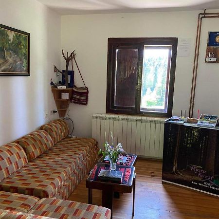 Mystic Forest Hostel Mitrovac Exteriör bild