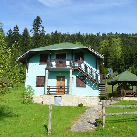 Mystic Forest Hostel Mitrovac Exteriör bild