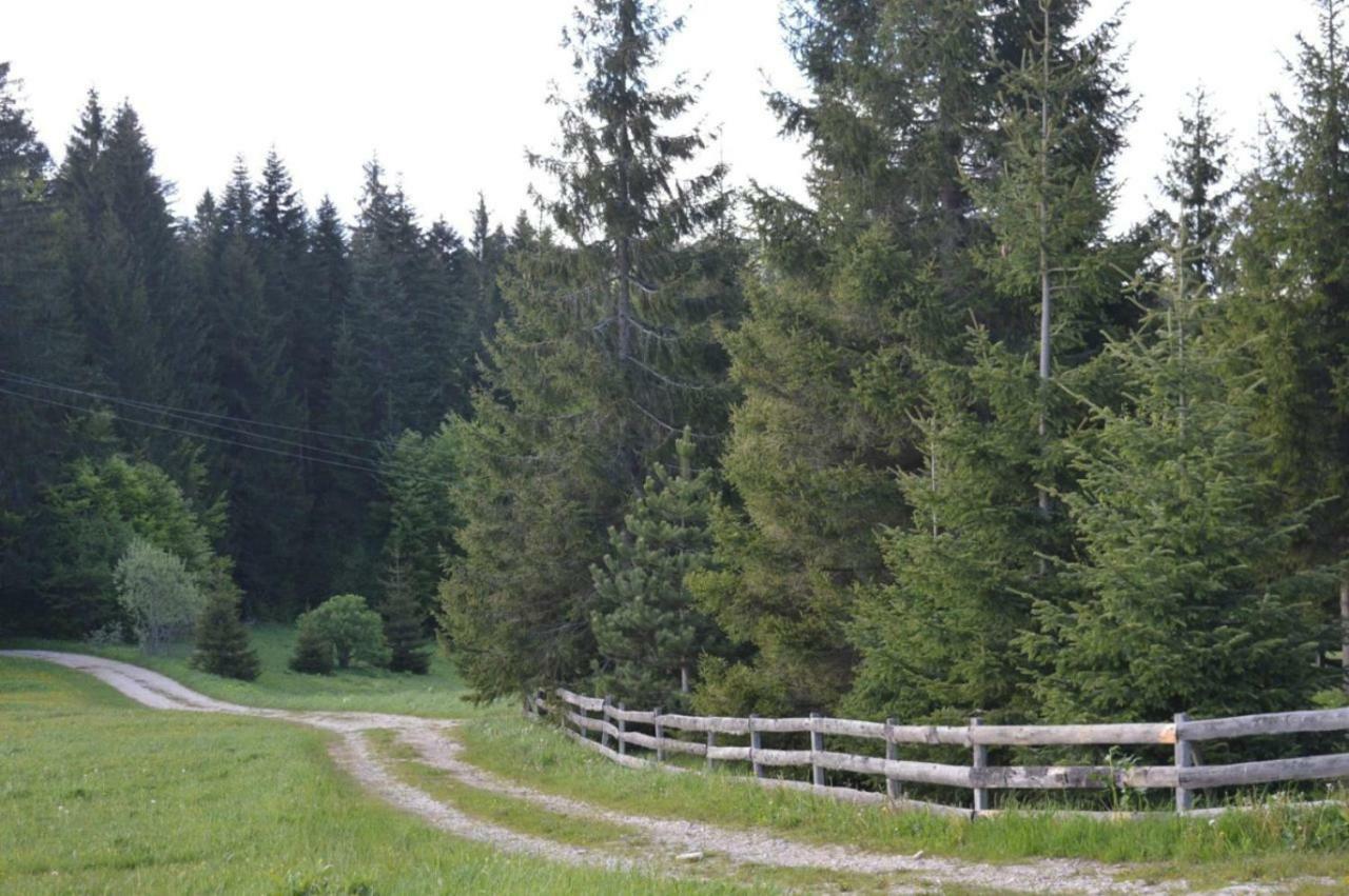 Mystic Forest Hostel Mitrovac Exteriör bild