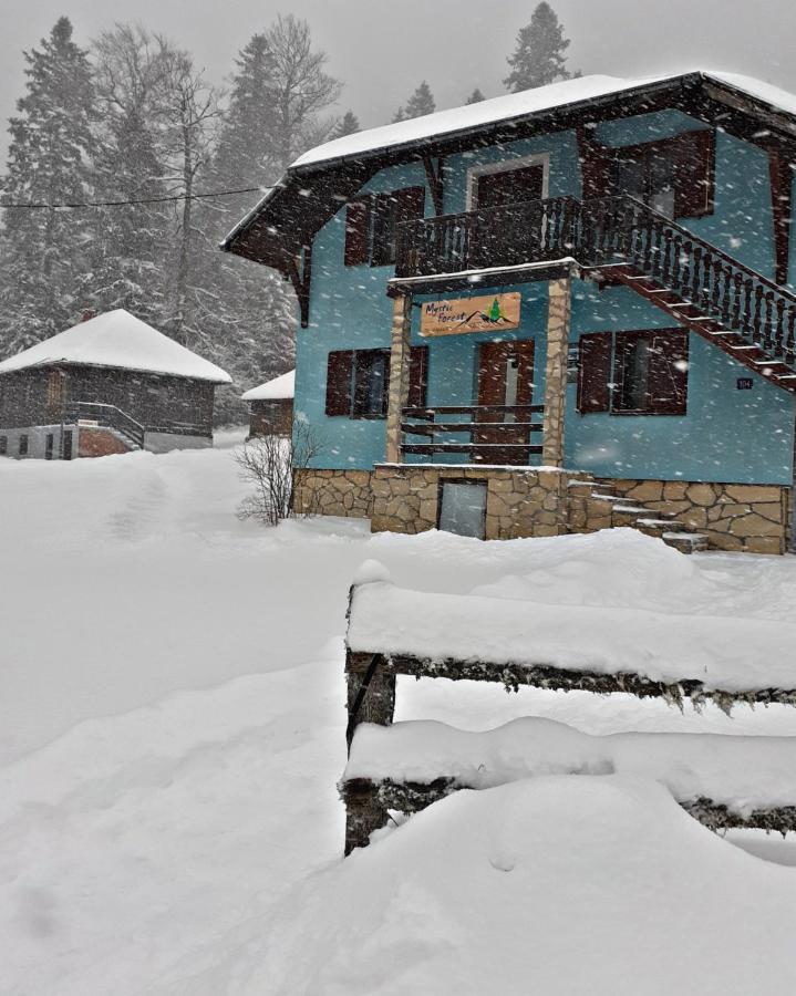 Mystic Forest Hostel Mitrovac Exteriör bild